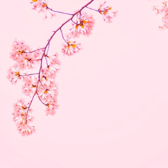 sugaraesthetic
